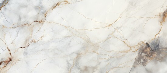 Poster - A closeup of a white marble texture resembling icy frost on freezing winter mornings, with intricate patterns similar to twigs and grass