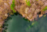 Fototapeta Las - Położone wśród lasów jezioro, którego woda ma szmaragdowy kolor. Brzegi pokrywają żółte, suche trawy, bezlistne drzewa, między którymi widać zielone korony drzew iglastych. 