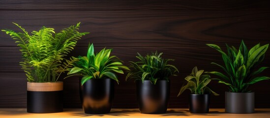 Poster - A collection of houseplants in flowerpots neatly arranged on a wooden table, creating a beautiful natural decor for the interior landscape