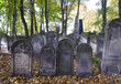 Old graves at historic Jewish cemetery in Warsaw, Poland. Autumn foilage.