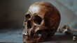 Detailed close-up photo capturing the textures and form of a weathered human skull on a shaded background