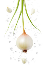 Wall Mural - garlic and onion isolated