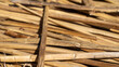 Bruns de Totora utilisés pour les îles flottantes du lac Titicaca