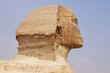 Head of  Sphinx Giza Cairo Egypt Africa