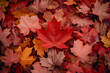 background of maple leaves for canada day