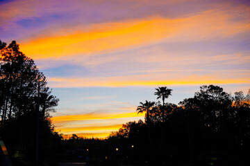 Poster - beautiful florida community sun rise