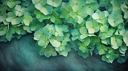 Poster - vibrant green flowers blooming beautifully against a dramatic black background