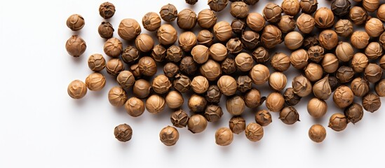 Poster - Abundance of Fresh Hazel Nuts Harvested in Autumn with Natural Sunlight