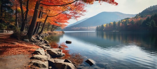 Poster - Tranquil Lake Oasis Surrounded by Vibrant Autumn Trees and Foliage