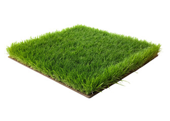 Patch of grass. isolated on transparent background.