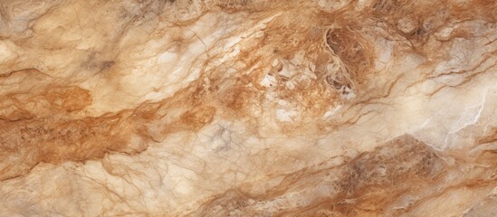 Poster - A detailed shot of a brown and white marble flooring, featuring a mix of beige and woodlike patterns. The texture resembles a blend of soil and bedrock outcrop