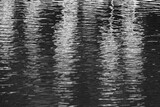 Fototapeta Kwiaty - black and white water texture