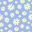 © Elena - Seamless pattern with white groovy daisy flowers on blue background. Vector illustration.