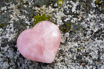 Wall Mural - A top view image of a beautiful rose quartz crystal heart on a lichen covered rock. 