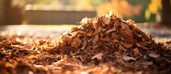 Wall Mural - Vibrant Autumn Foliage Background with Colorful Pile of Fallen Leaves