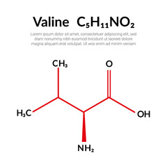 Valine (symbol Val or V) C5H11NO2 amino acid, molecular structural chemical formula