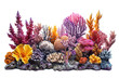 Coral Reef isolated on White Background aquarium insert 
