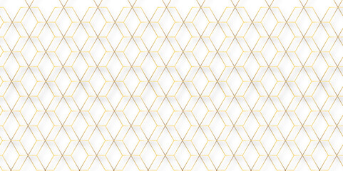 Abstract golden linear graphic ornament. Stylish luxury Arabian ornament. Elegant design. Vector gold and white geometric line texture. minimal geometric pattern banner for textile fabric design.