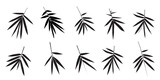 Fototapeta Sypialnia - silhouette of a collection of bamboo leaves vector eps 10