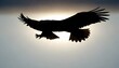 Eagle Silhouette Upscaled 66