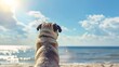 seaside solace: a pug's contemplative gaze at the ocean