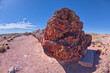 Giant Petrified Log display at Petrified Forest AZ