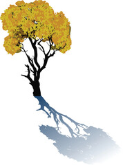 Wall Mural - dark yellow tree with grey shadow isolated on white