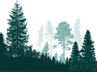 Wall Mural - dark and light cyan dense forest isolated on white