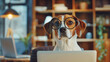 Adorable dog with glasses appears to peruse a laptop, a comical tribute to remote work.