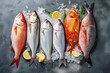 top view of vary kind of fish with copy space for text. food background for stock photography - generative ai