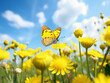 Beautiful yellow butterfly on yellow summer flowers in a meadow overlooking the blue sky. 
