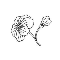 Sticker - Monochrome black and white floral chinoiserie style flower isolated on white background. Abstract hand drawn botanical clip art element.