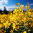 Shot of Yellow flowers field Generative AI
