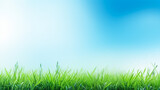 Fototapeta Na sufit - Abstract sunny summer background with grass and blue sky
