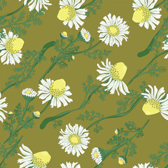 chamomile seamless pattern, daisy floral background , scattered flowers seamless vecto backdrop for wrapping paper, invitations, wedding etc