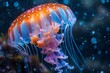 Close Up of a Jellyfish in the Water