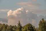 Fototapeta Łazienka - chmury i drzewa