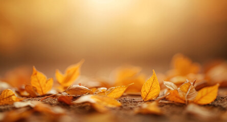 Blurred autumn nature background with golden leaves and sunlight 