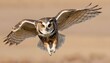 An Owl With Outstretched Wings In A Flight Pose