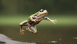 A Frog Leaping Gracefully Through The Air