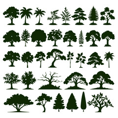 Wall Mural - flat design plant and tree silhouette collection