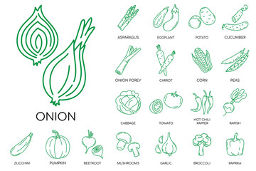 Vegetables hand drawn icons set. Vector icons.