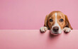 dog, love your pet day, banner, greeting card, social media, pink background