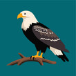 bald eagle flat vector illust...