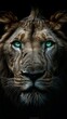 Portrait of huge beautiful male African lion with green eyes against black background