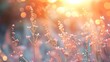 photograph of Soft focus of grass flowers with sunset light,