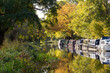 Canal barges moored against the tree lined bank of the canalised River Wey Navigation on a stretch near Guildford in Surrey