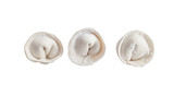Fototapeta Natura - frozen dumplings on white background
