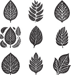 Wall Mural - Leaf silhouette vector illustration set