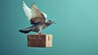 Pigeon flying in the air and carrying a cardboard box on blue background